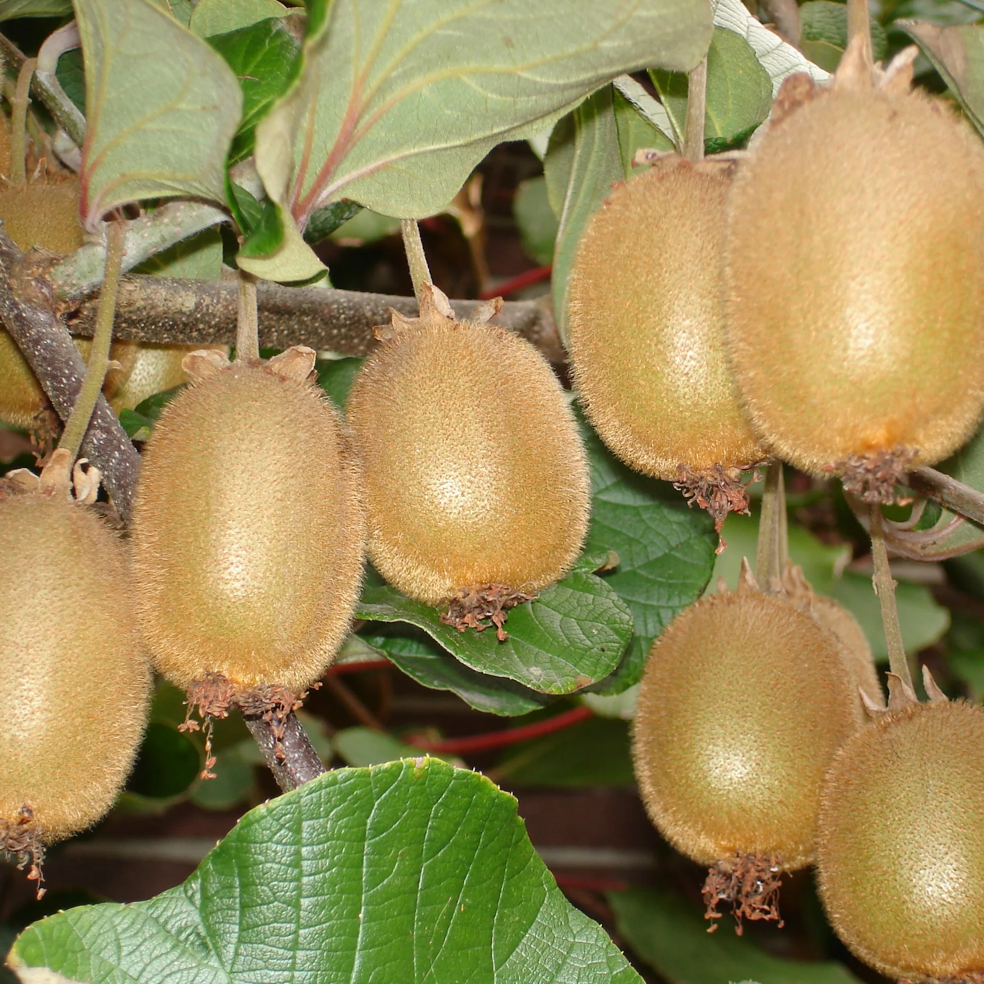 Produktbild 6